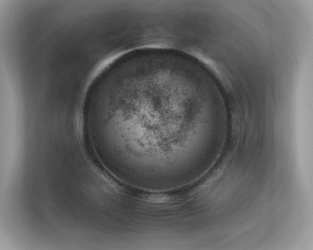 X0000112851319200908211252