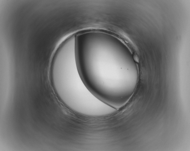 X0000112851320200908211252