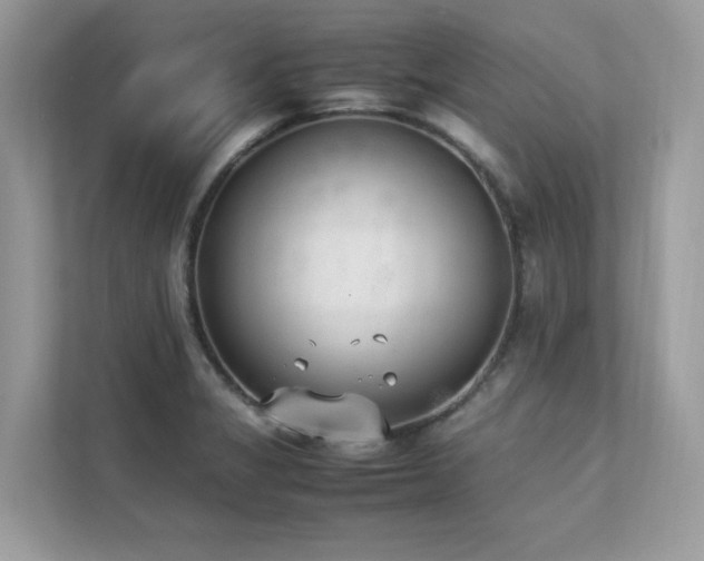 X0000112851325200908211252