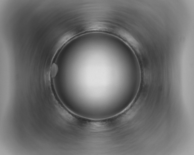 X0000112851330200908211253