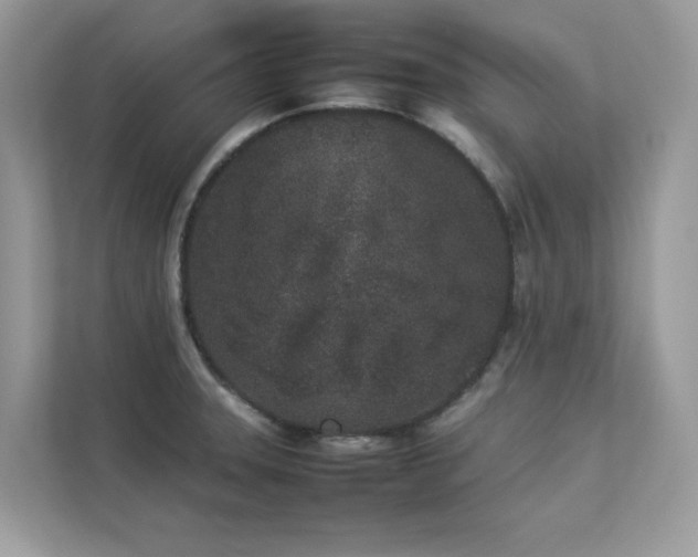 X0000112851331200908211253