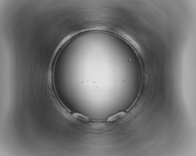 X0000112851332200908211253