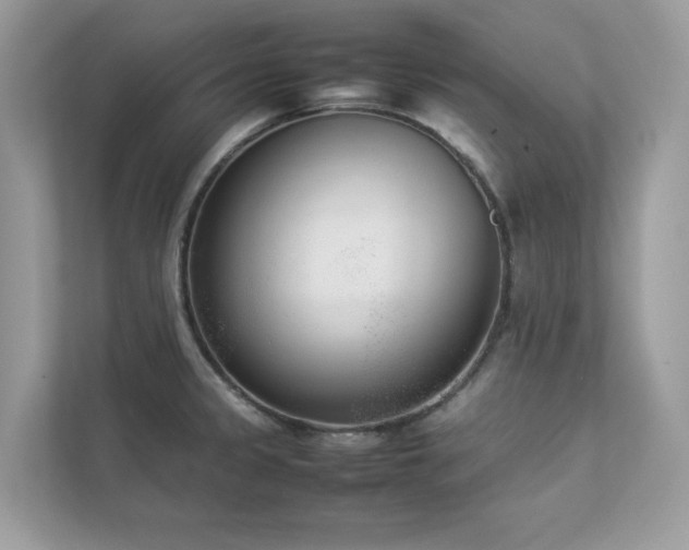 X0000112851333200908211253