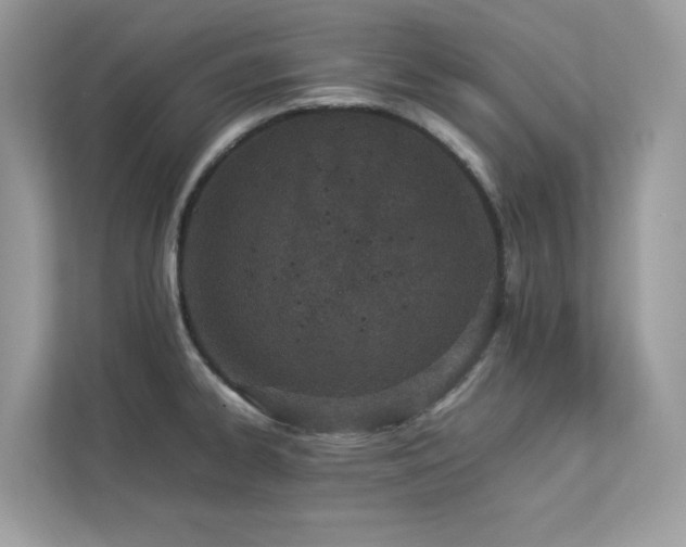 X0000112851334200908211253