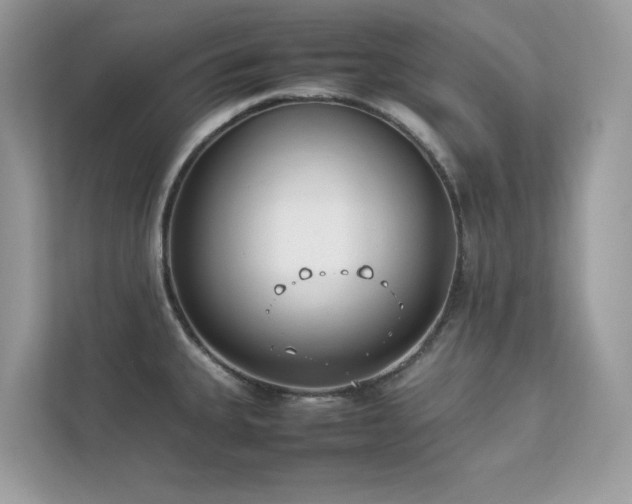 X0000112851335200908211253