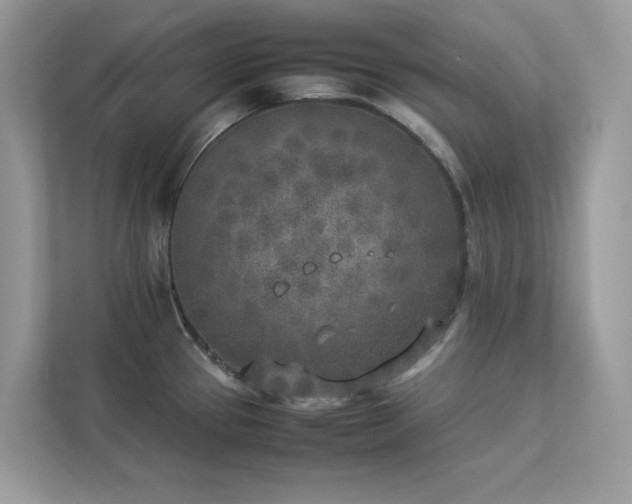 X0000112851337200908211253