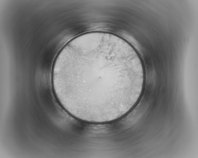 X0000112851338200908211253