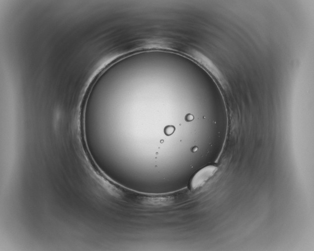 X0000112851339200908211253
