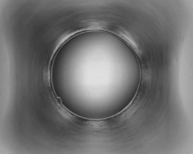X0000112851340200908211253