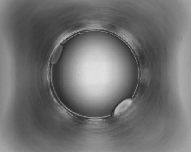 X0000112851342200908211253