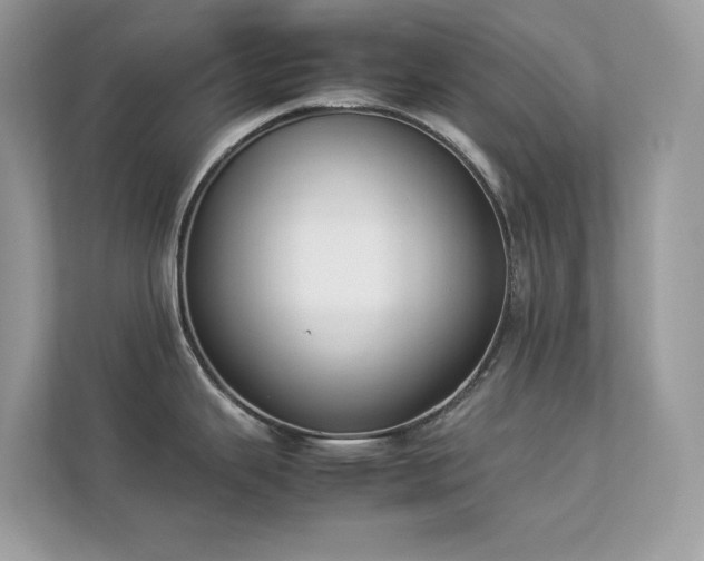 X0000112851343200908211253