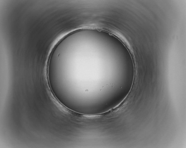 X0000112851344200908211253