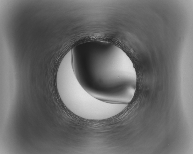 X0000112851345200908211252