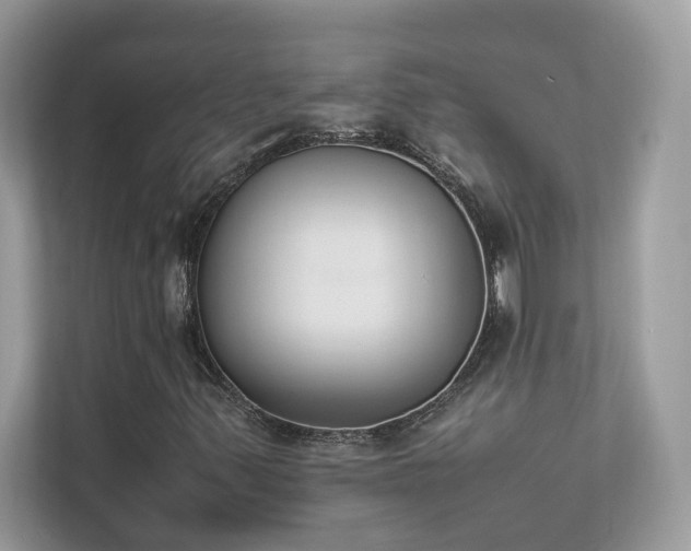 X0000112851347200908211252