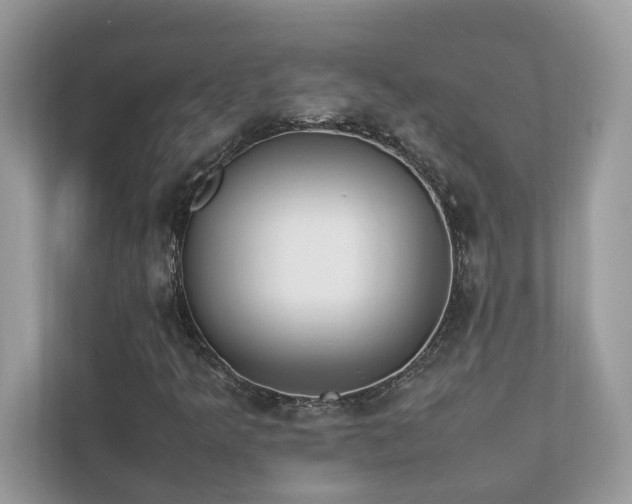 X0000112851349200908211252