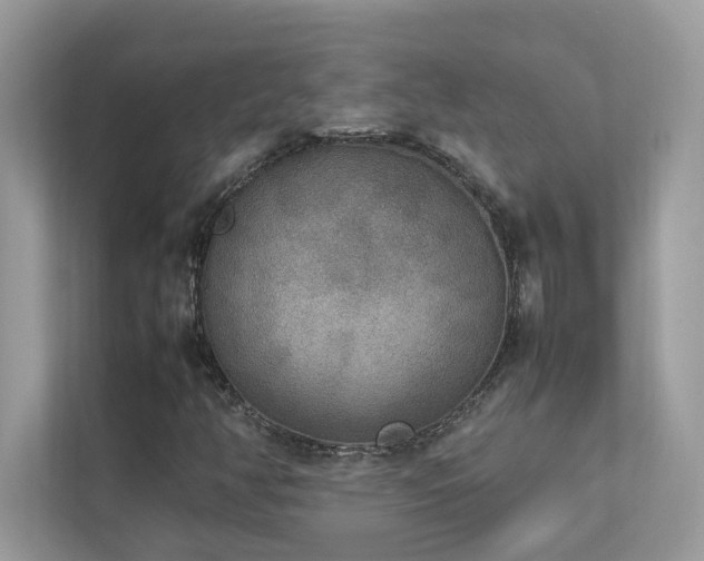 X0000112851350200908211252