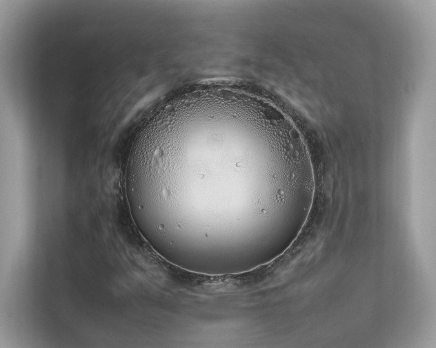 X0000112851351200908211252
