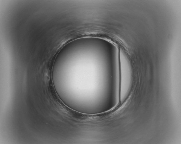 X0000112851353200908211252