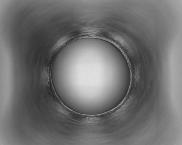 X0000112851354200908211252