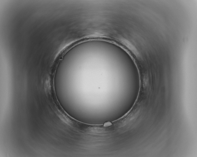 X0000112851356200908211252