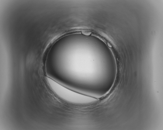 X0000112851357200908211252
