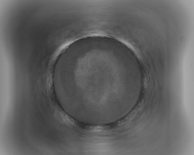 X0000112851359200908211252
