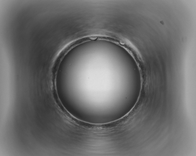 X0000112851360200908211252