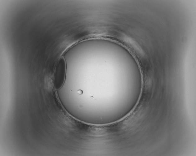 X0000112851361200908211252