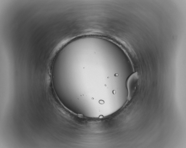 X0000112851363200908211252