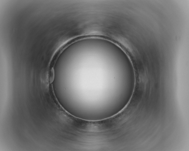 X0000112851364200908211252