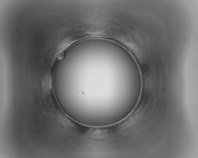 X0000112851365200908211252