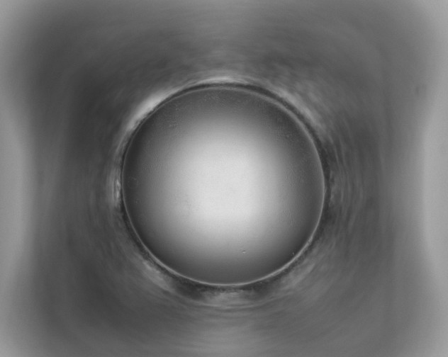 X0000112851367200908211252