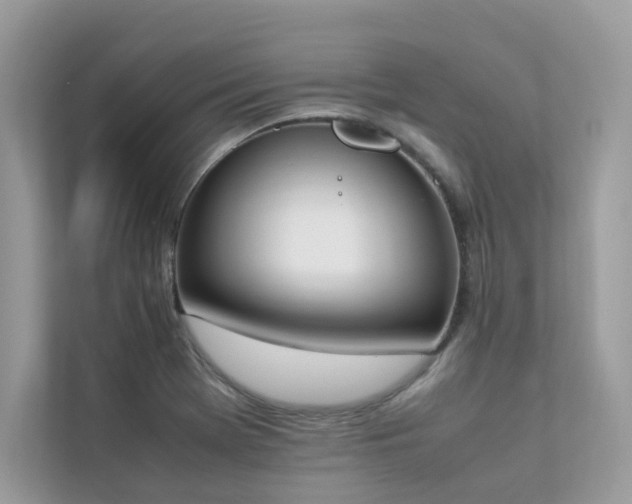 X0000112851369200908211252