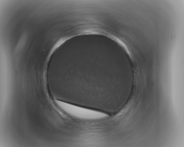 X0000112851373200908211252