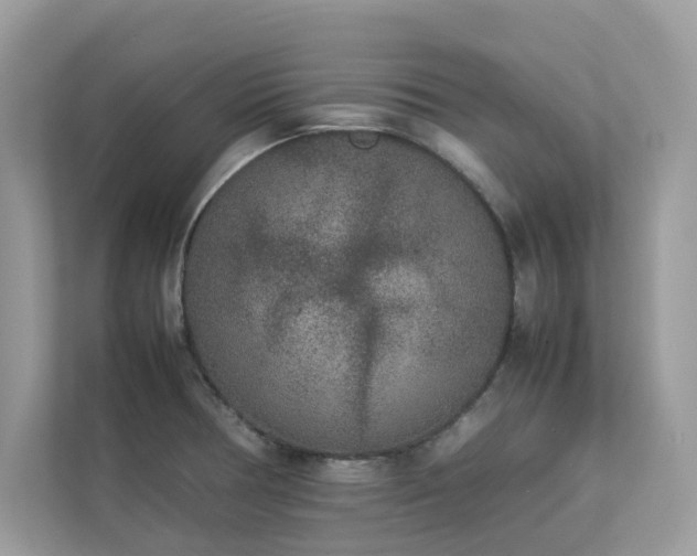 X0000112851378200908211252