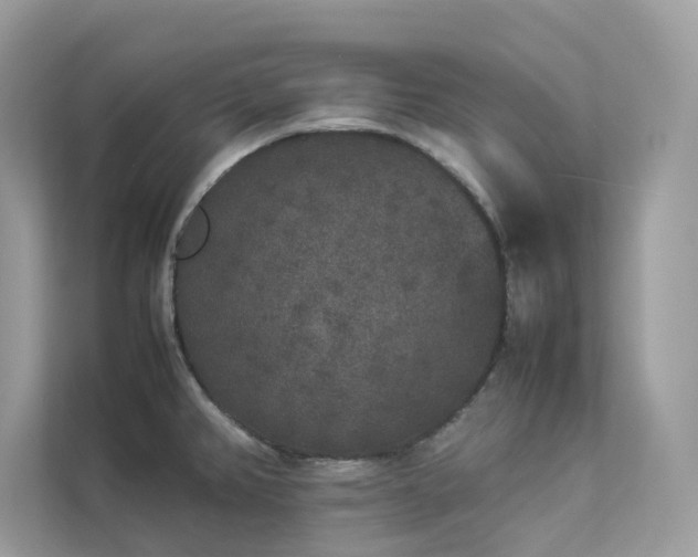 X0000112851382200908211252