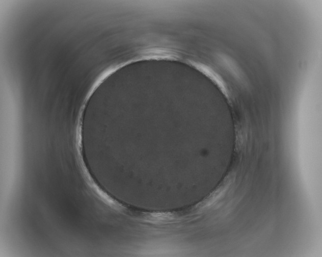 X0000112851383200908211252