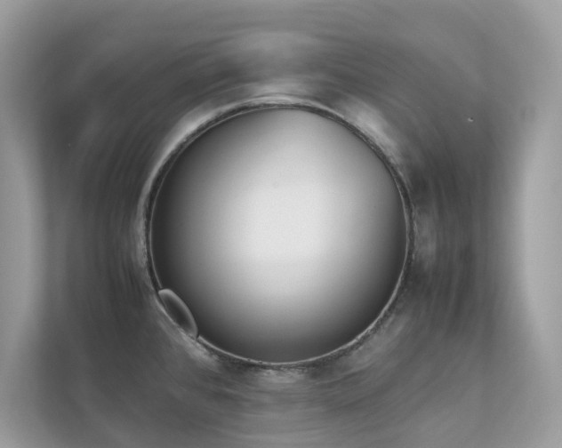 X0000112851384200908211252