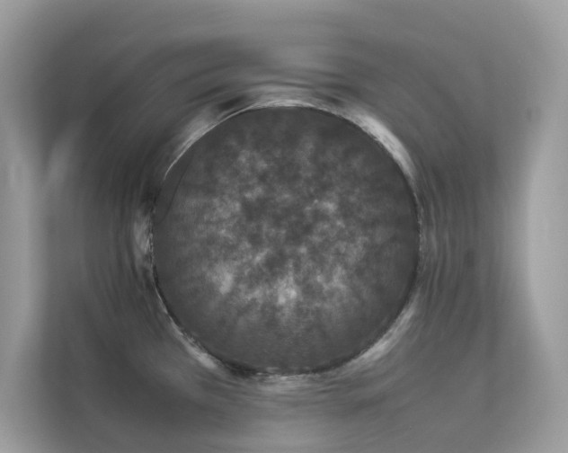 X0000112851385200908211252