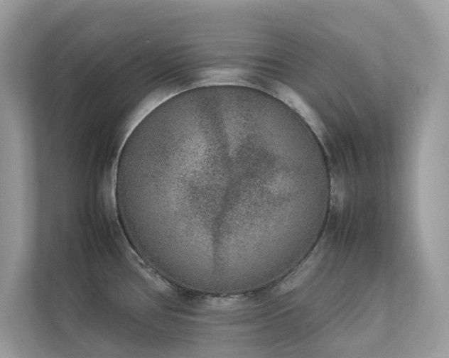 X0000112851386200908211252