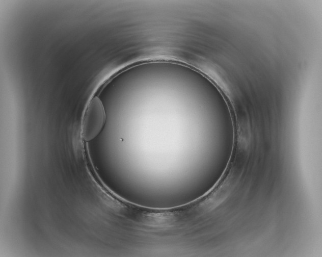 X0000112851388200908211252