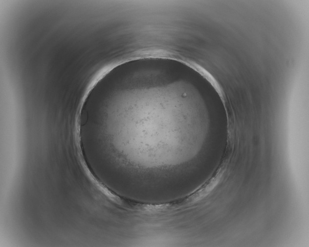 X0000112851389200908211251