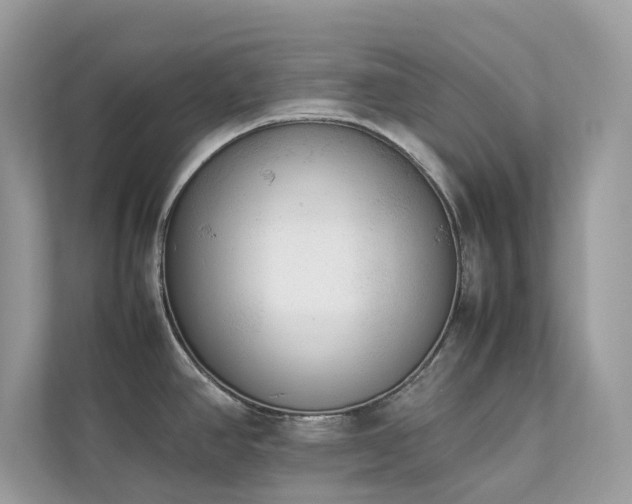 X0000112851390200908211251