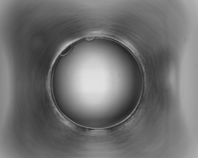 X0000112851392200908211251