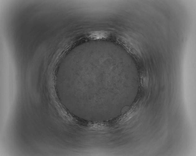 X0000112851393200908211251