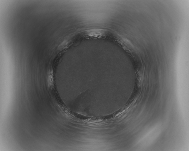 X0000112851394200908211251
