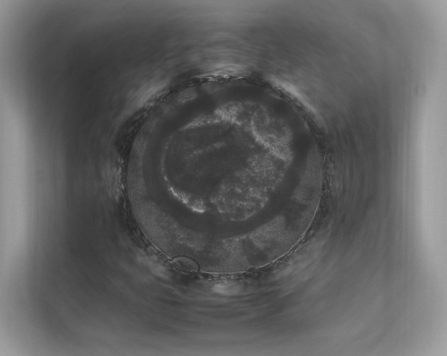 X0000112851399200908211251