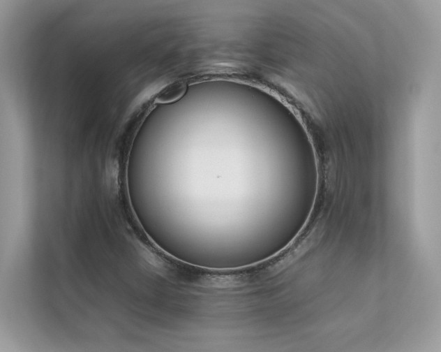 X0000112851402200908211251