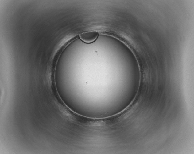 X0000112851410200908211251