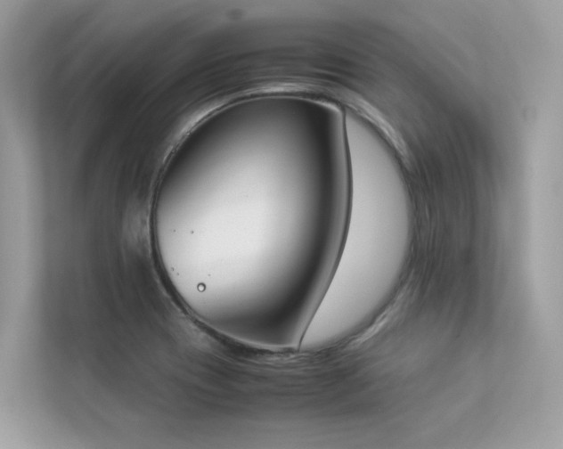 X0000112851417200908211251